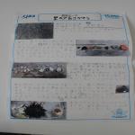 2025nagaizumi20.jpg